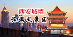 体育生用大鸡吧去戳女生搞基网站中国陕西-西安城墙旅游风景区